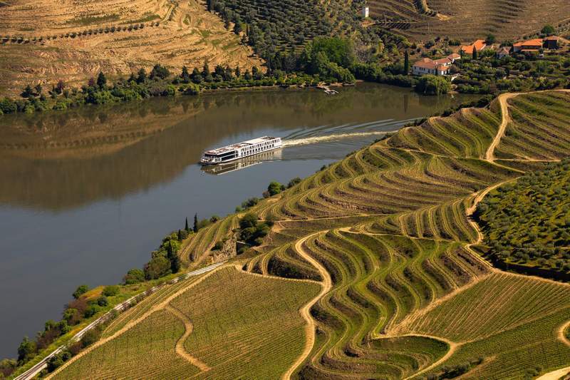 civitatis Ribera del Duero Oporto