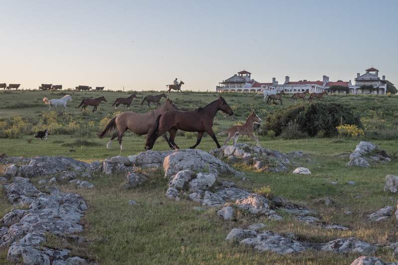 Estancia Vik 157
