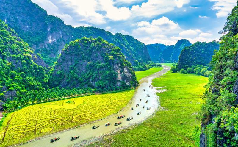 Te Vietnam