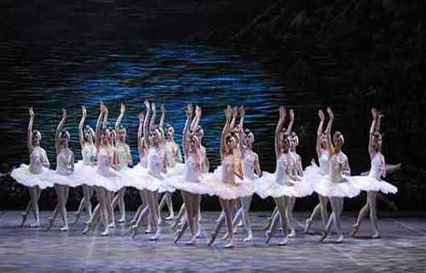 sodre_lago_cisnes_bns