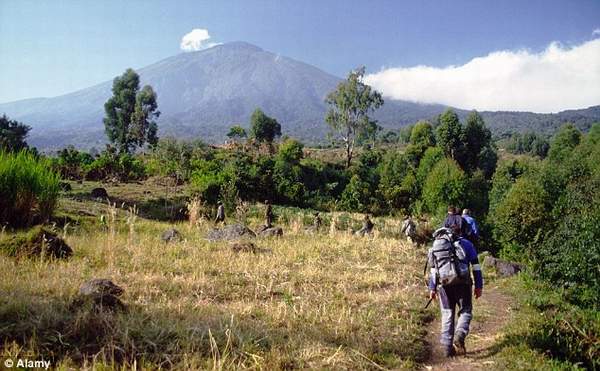uganda_Mgahinga_national_park