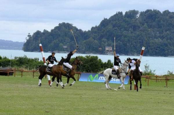 polochile4