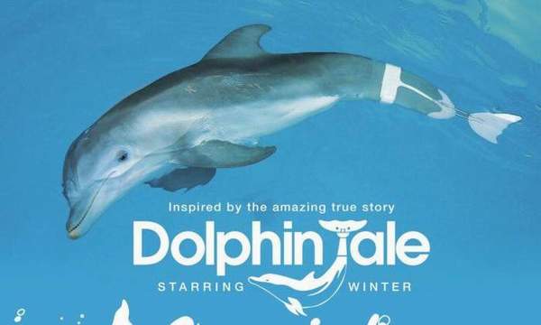 stpet_delfin
