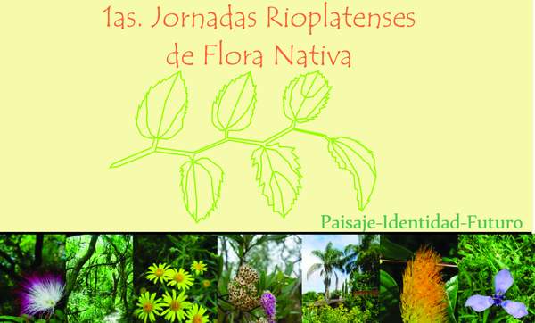 Afichenativas-head