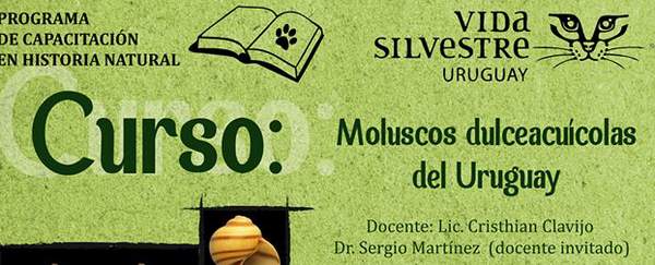 head_vida_silvestre_ficheMoluscos