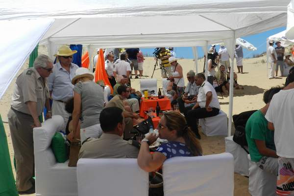 rocha_gazebos