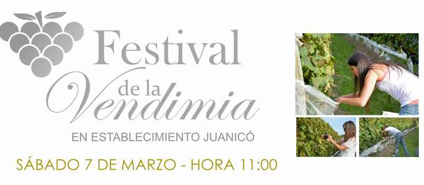 juanico_top