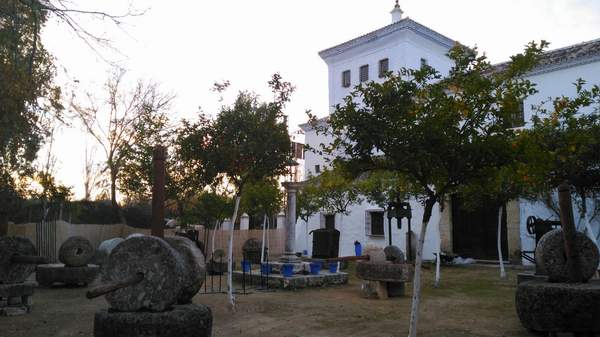 aceite_3