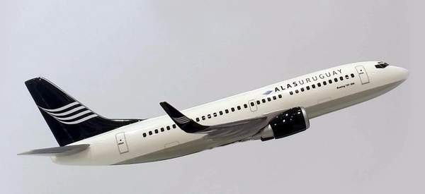 Alas_avion