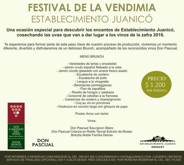 Juanico_Festival_Vendimia_2016