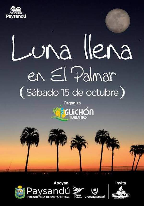 el_Palmar