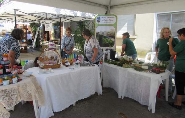 florida_gourmet_5