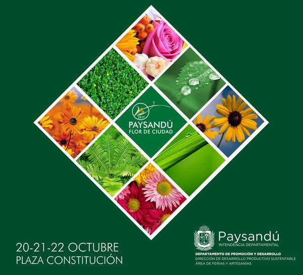 paysandu