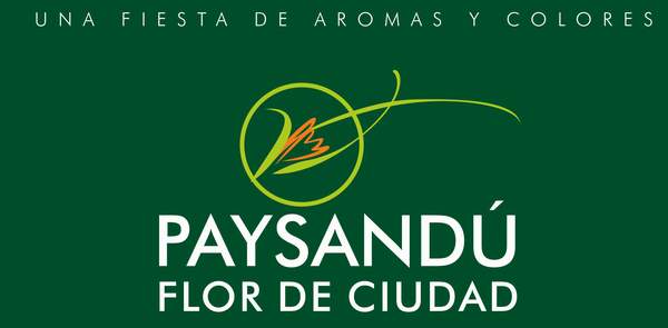paysandu_1