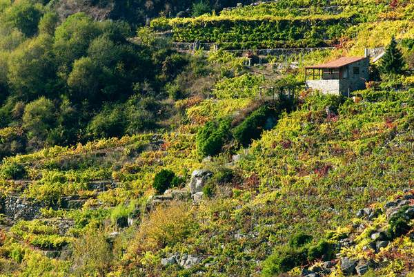 galicia_3