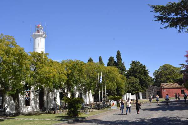 colonia_top