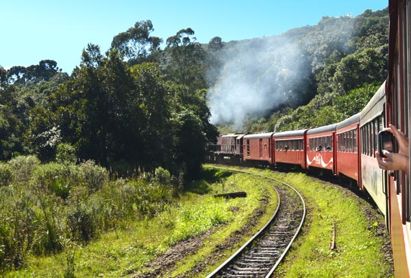 Serra-verde-express