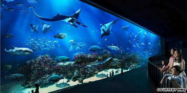 acuario_ocean-gallery