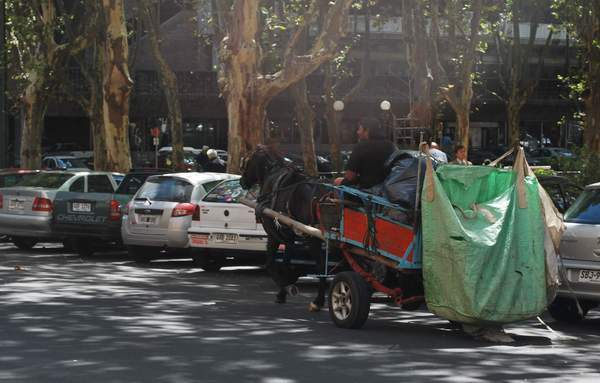 carritos__001