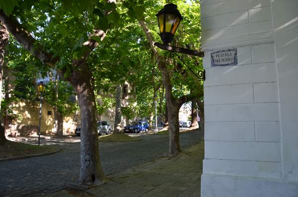 colonia2012_calle_arbolada_pasaporte