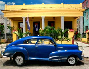 cuca_auto_02
