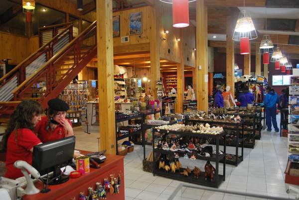 expocom_pto_natales_nandu01