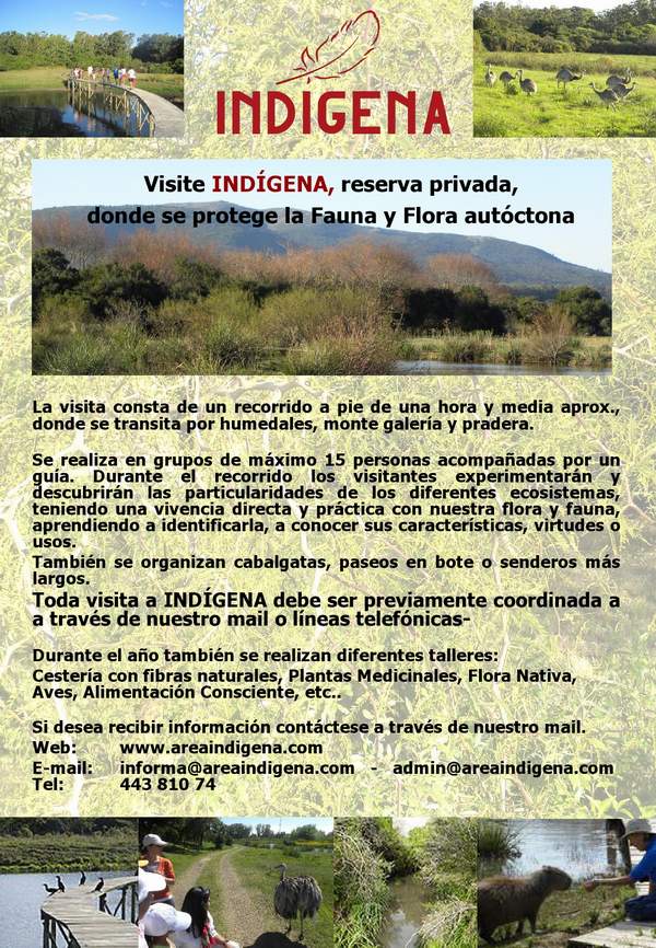 indigena_afieche01