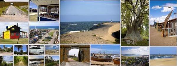 rocha_collage