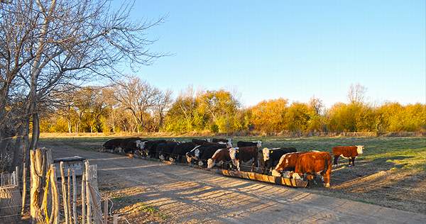 turismo_rural