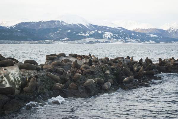 ushuaia_faro_lobos