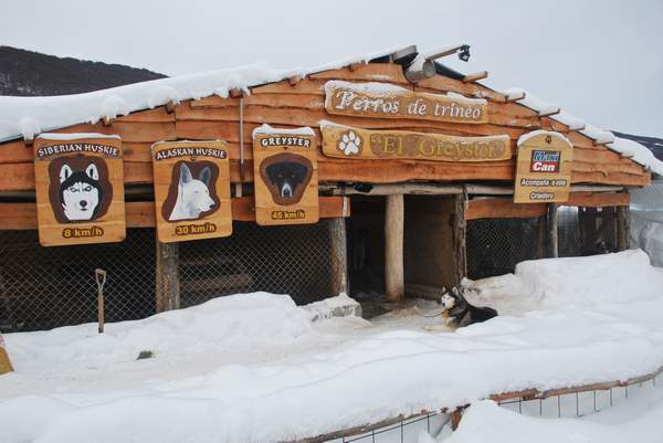 ushuaia_llanos_refugio_perros